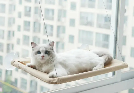 Sunny Seat Cat Hammock